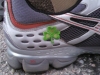 My good friend/former high school teacher, Bill Smith, gave me the shamrock to help me in spirit for my first Boston Marathon