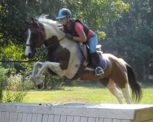 Magic Penny Farm (Hanover)